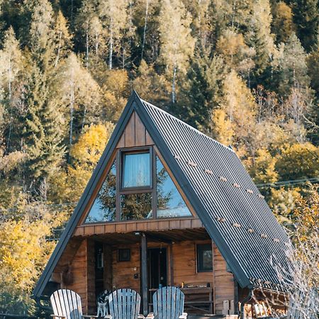 Villa Vikendica Pustolov - Uvac, Zlatar à Nova Varoš Extérieur photo