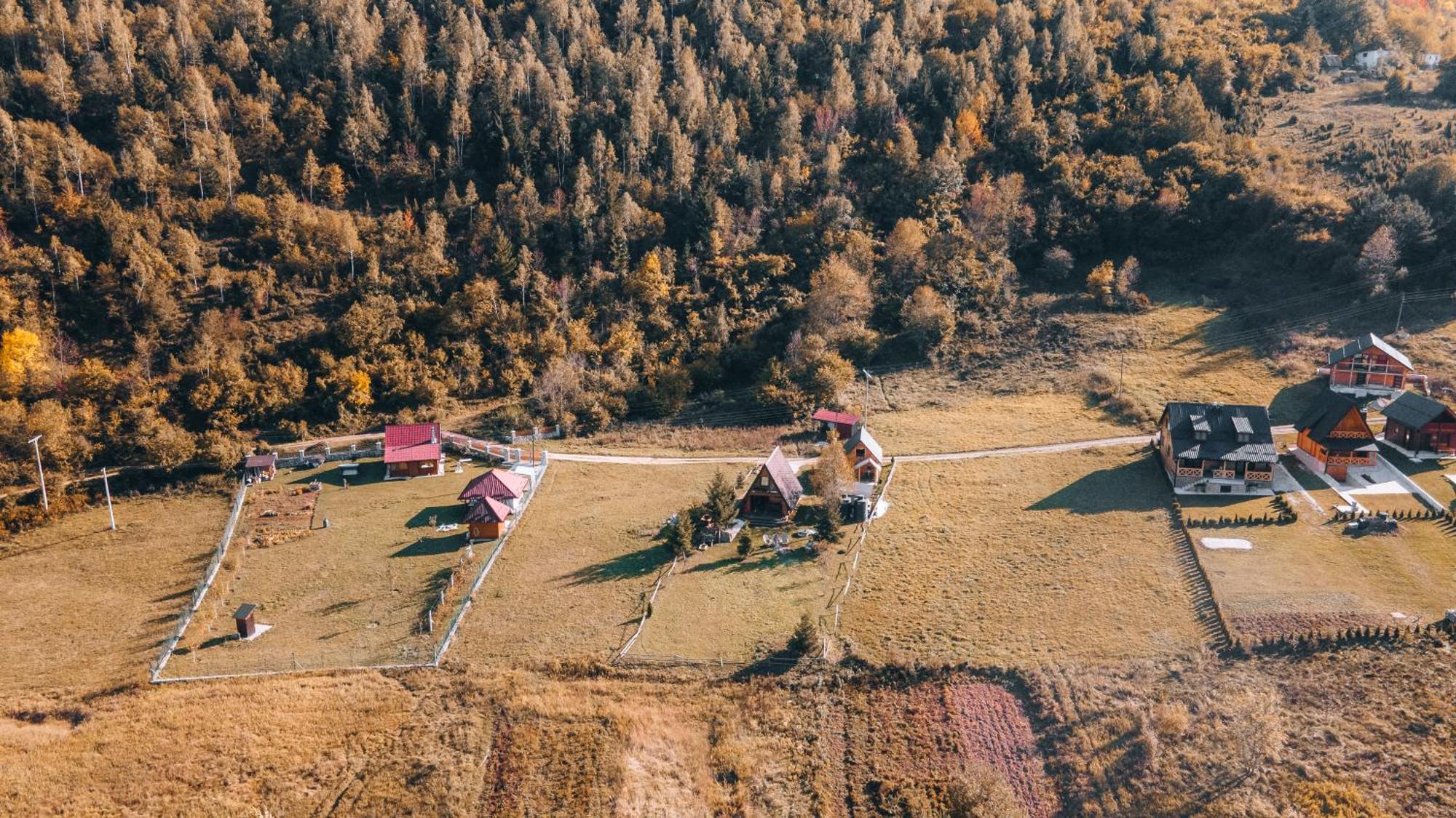 Villa Vikendica Pustolov - Uvac, Zlatar à Nova Varoš Extérieur photo